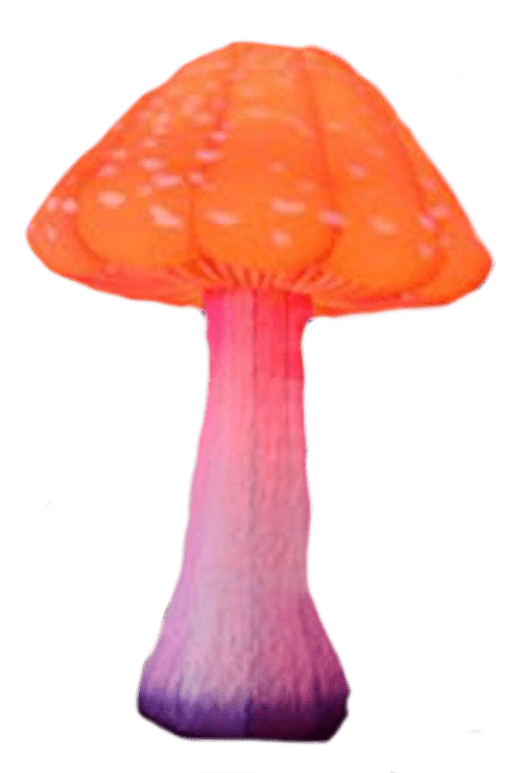 23112023_095730_yapfiles.ru-min