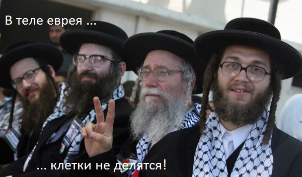 22a78f4abf78
