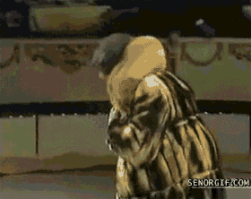 funny-gifs-furcoat-rhonda