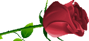 разделитель роза