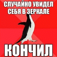a_8ea59506