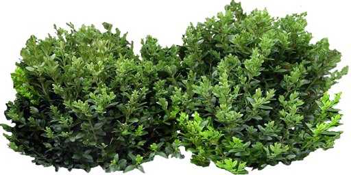 _2024-01-27_002006973