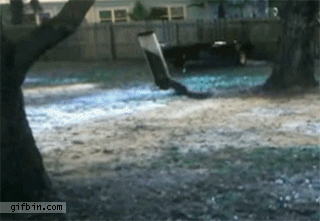 1319739110_squirrel_gets_dizzy_from_spinning