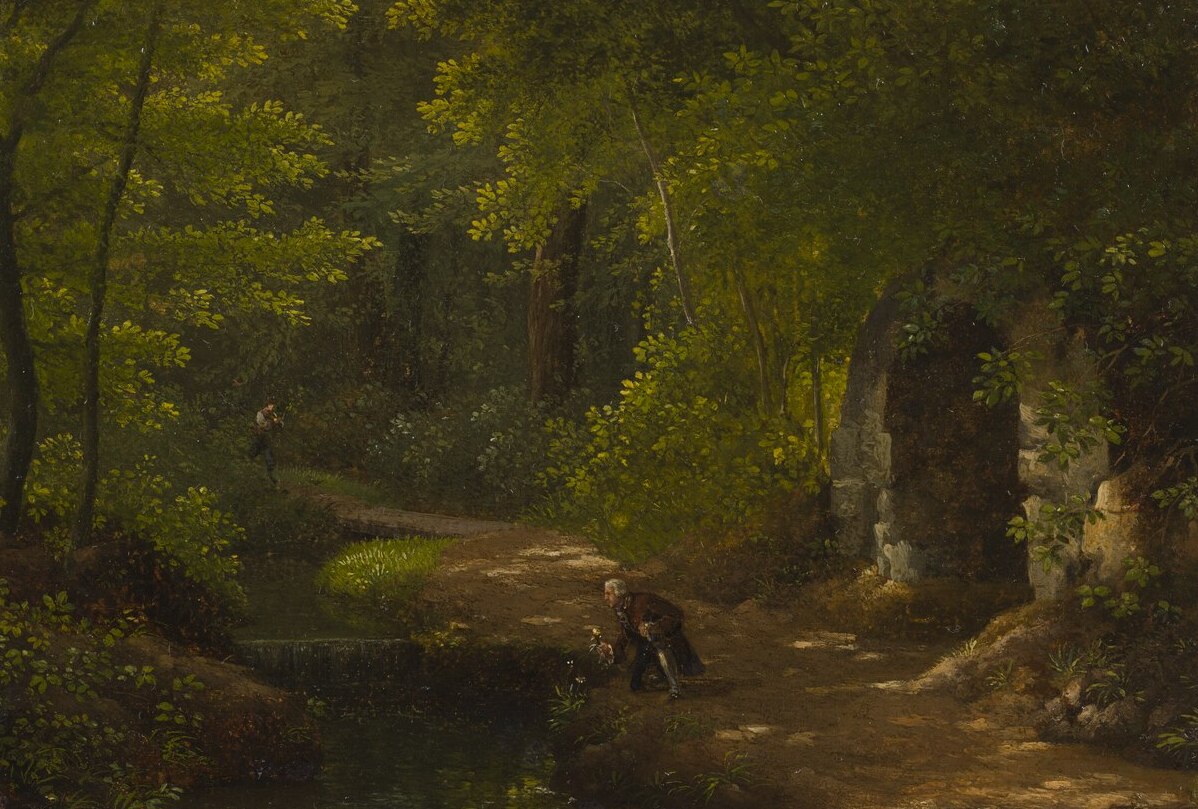 Jean-Jacques_Rousseau_plockar_bl