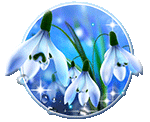 imagen-snowdrops-blue-live-wallpaper-0big