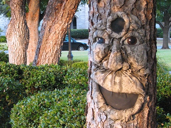 1434712796341e346f0bb