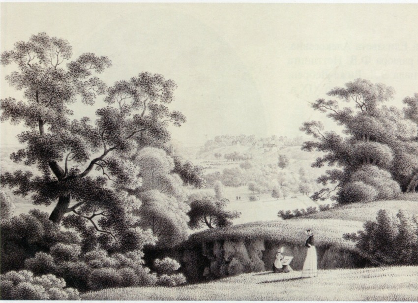 114_progulka_v_oranienbaume