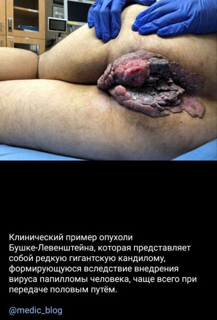 photo_2023-07-08_19-23-59