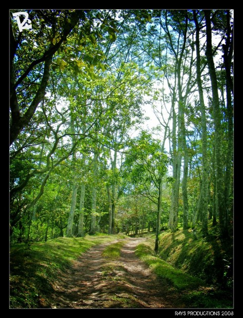 NATURE_by_RONNYYAXPHOTO