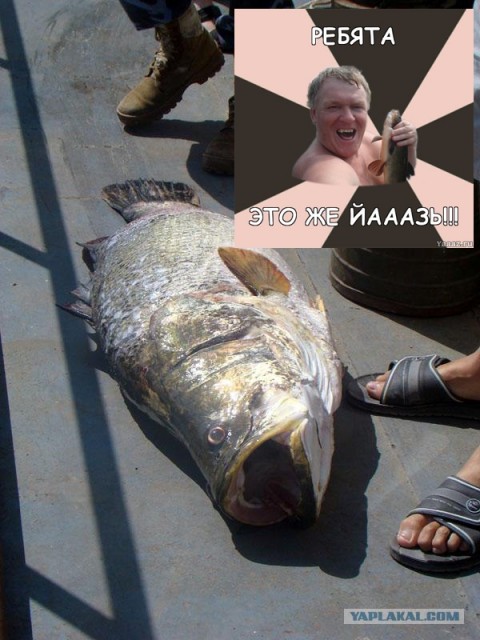 post-3-13214296257252