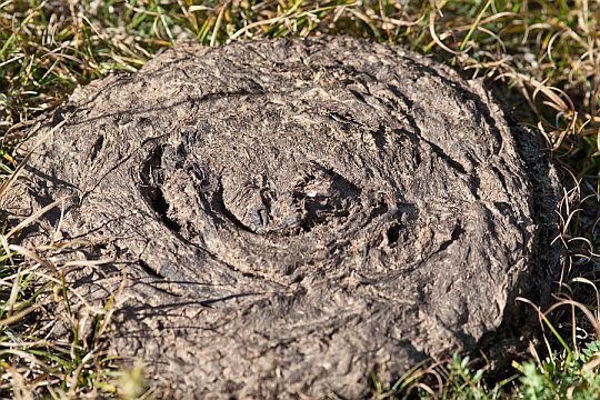 9f02779261348b732ad9c741117382d9