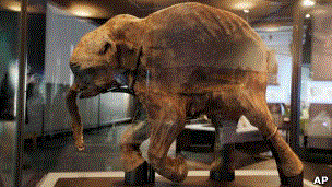 111207224924_mammoth_304x171_ap