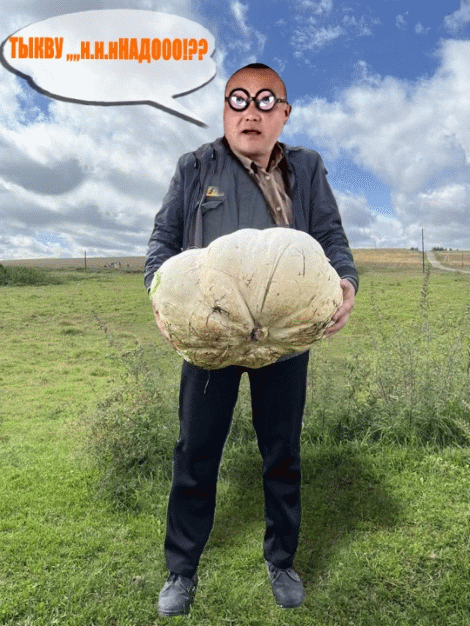 тыкво  чина