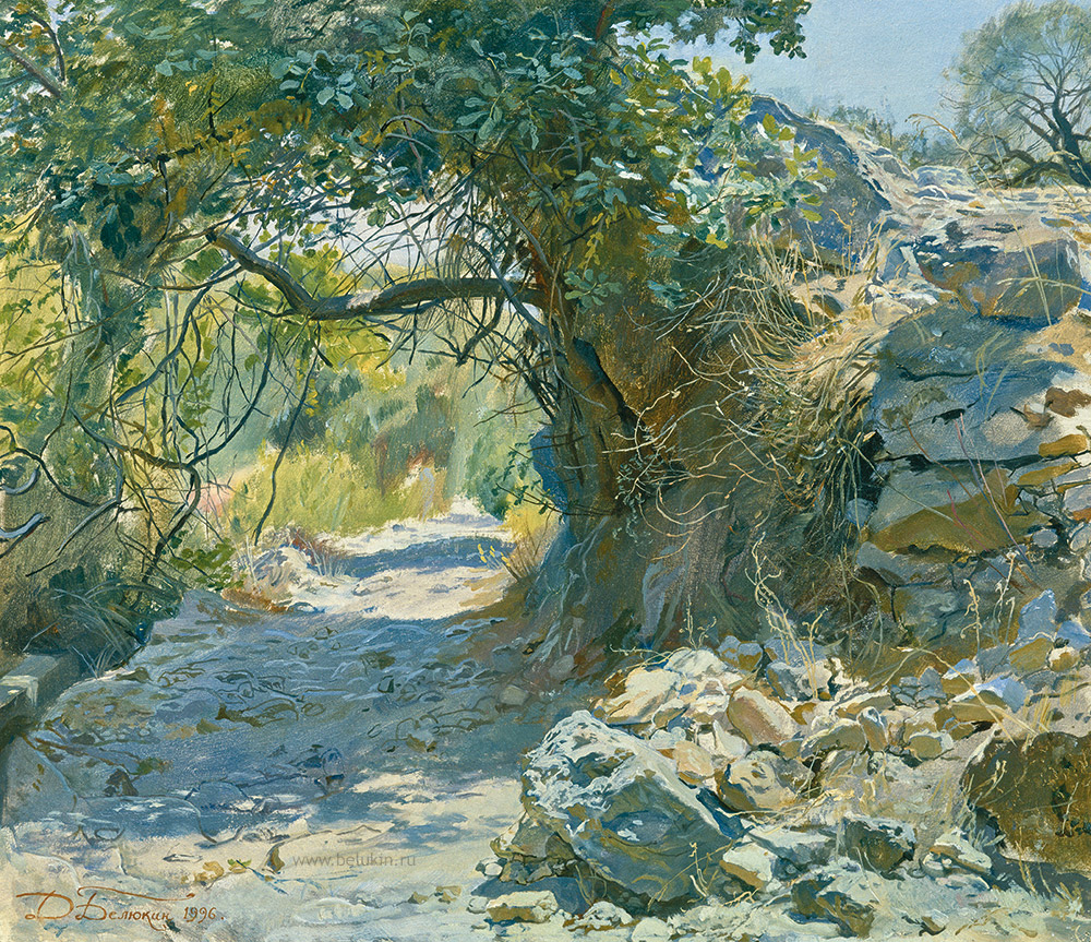 Дмитрий Белюкин