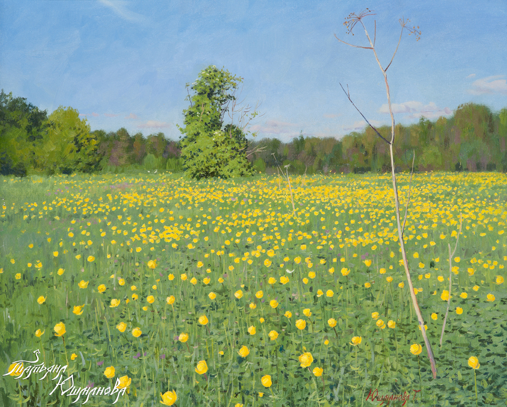 tild6665-3263-4535-a665-656539653662__-2011-_19793198419_o