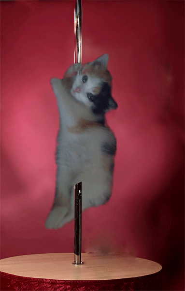 koteuka