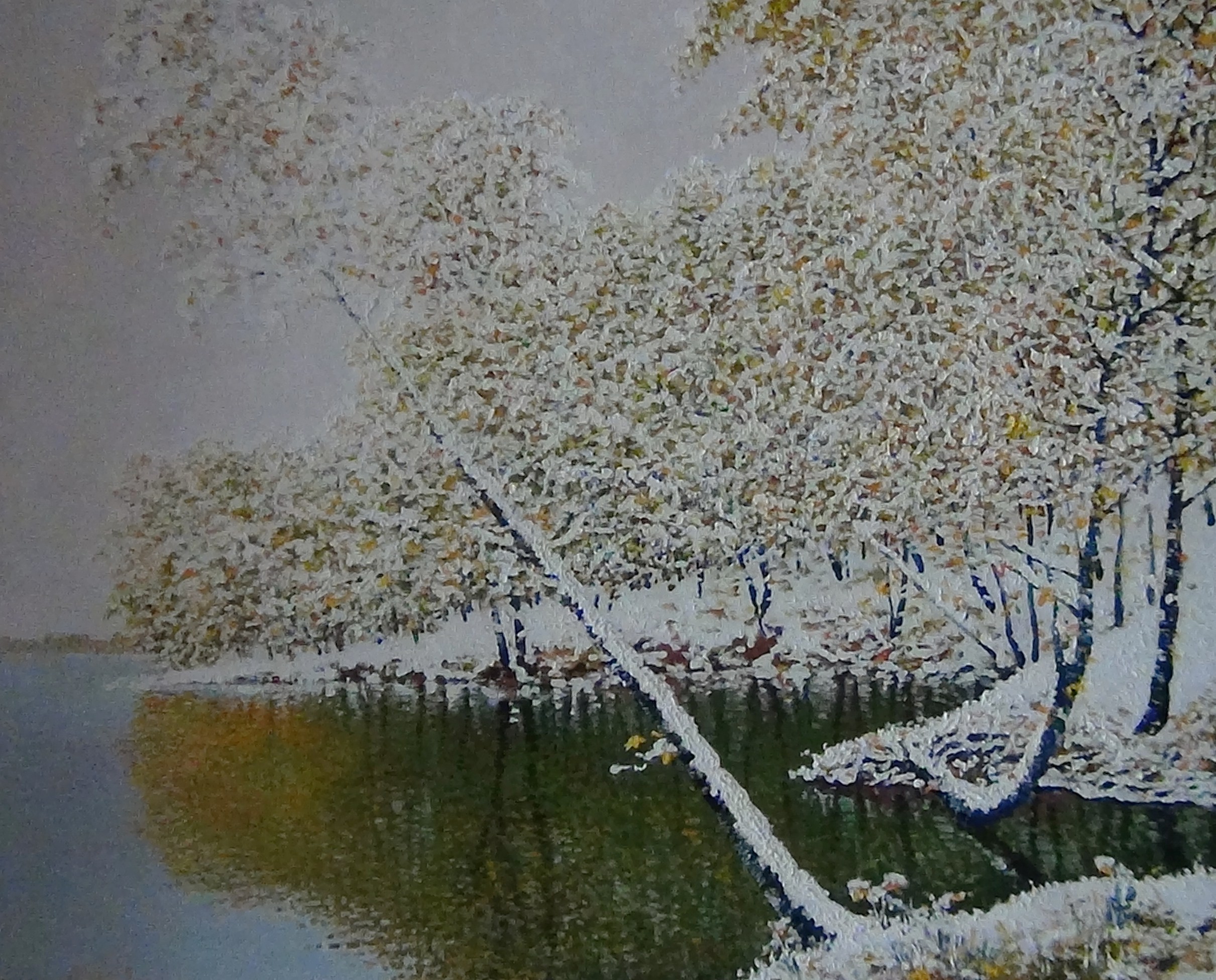 -��������