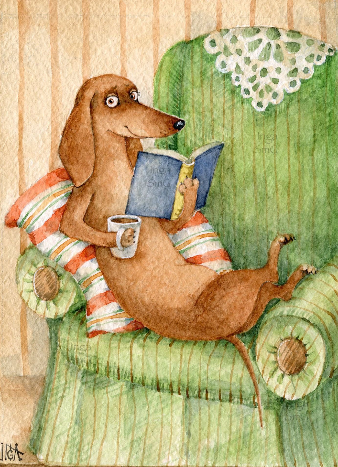 1684389741_polinka-top-p-kartinki-sobaka-s-knigoi-vkontakte-42