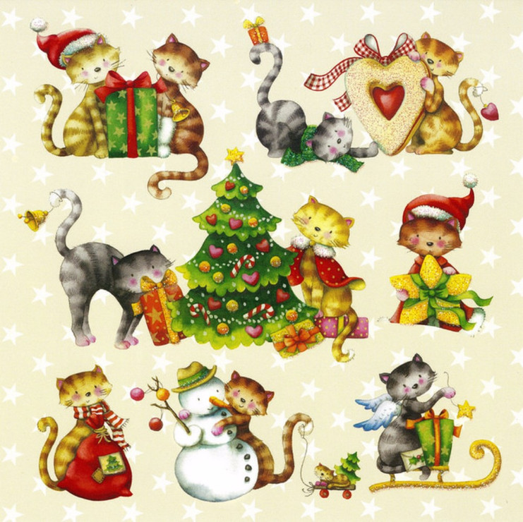 420431-4d249-105064318-m750x740-uced4d