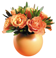 vase_PNG149