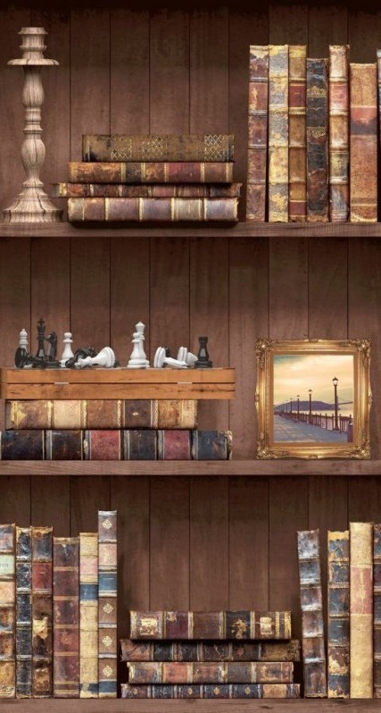 1638707502_81-pro-dachnikov-com-p-knizhnie-polki-v-interere-foto-856