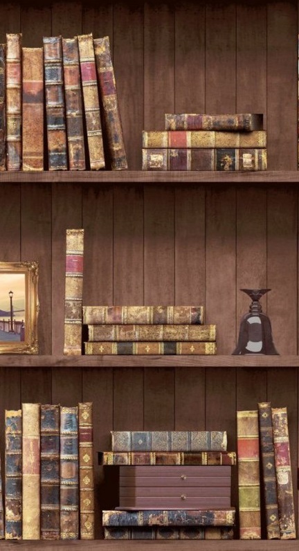 1638707502_81-pro-dachnikov-com-p-knizhnie-polki-v-interere-foto-8567