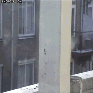 funnygifsbreadnecklace