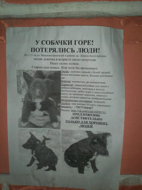 IMG214_yapfiles