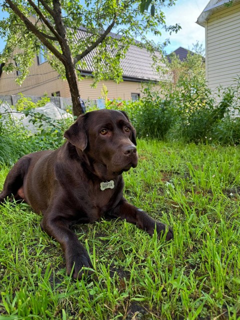 2025_02_12_22_29_IMG_4195