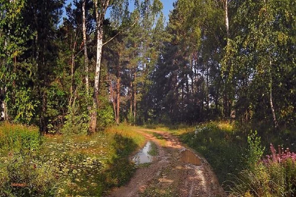 xudozhnik_Valeriy_Niminuchiy_15