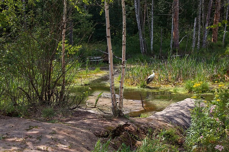 xudozhnik_Valerij_Niminuchij_10