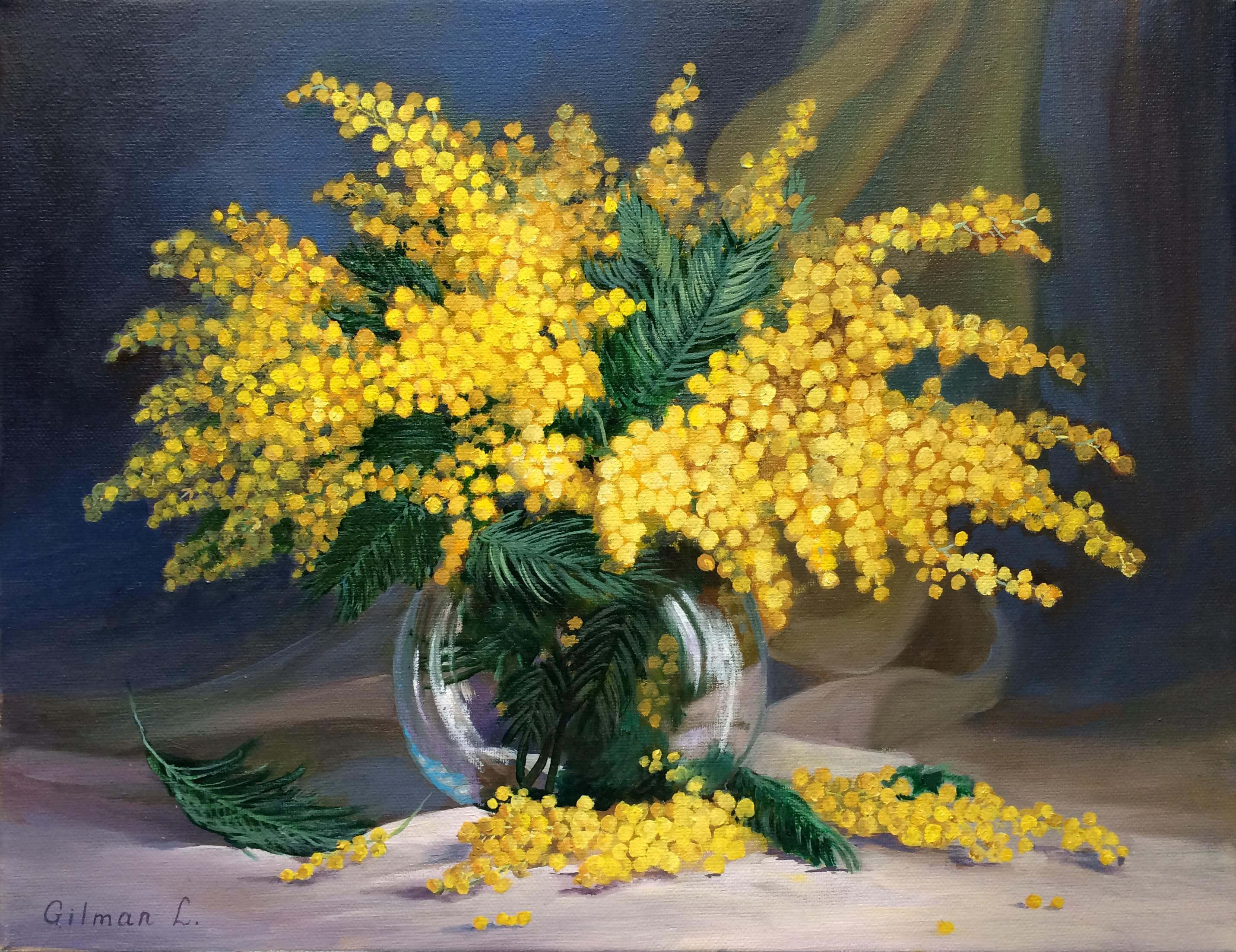 mimoza