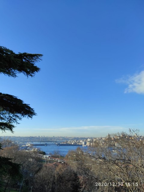 08b52dc9-8a14-4515-950c-bd04f68a8b0a