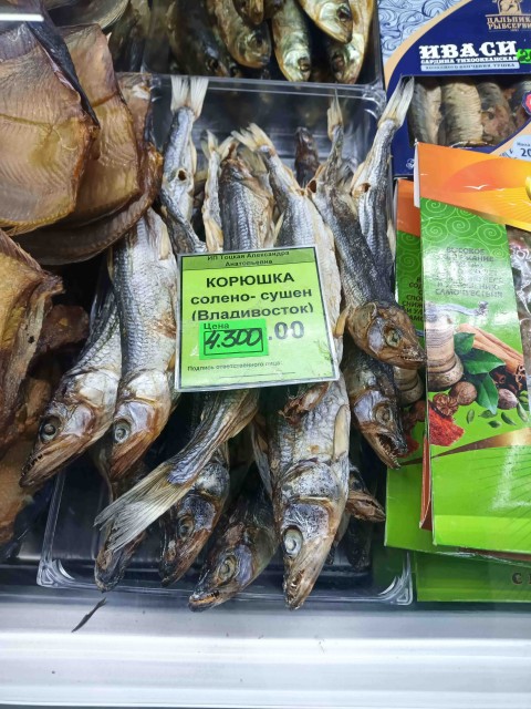 IMG_20250404_173708_651