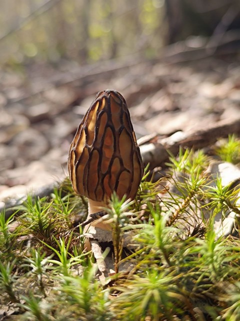 photo_2025-04-28_23-02-24