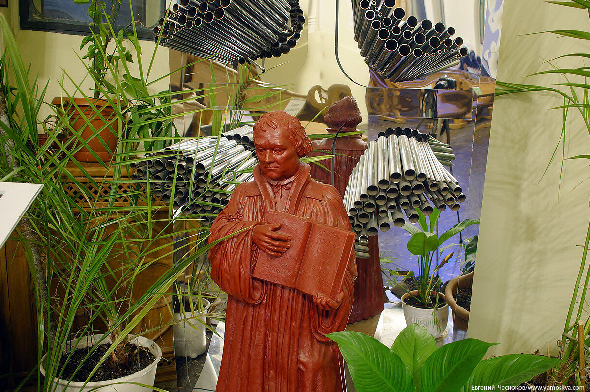 scale_1200 (12)