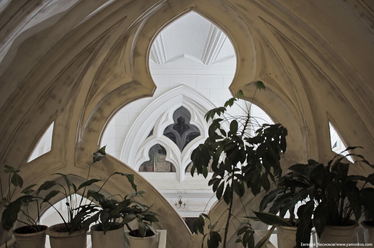 scale_1200 (13)