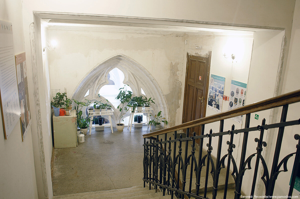 scale_1200 (14)