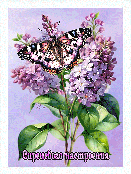 Сиреневого настроения