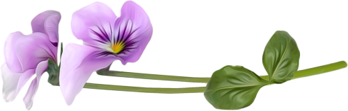 0_18c655_58c07bc5_orig