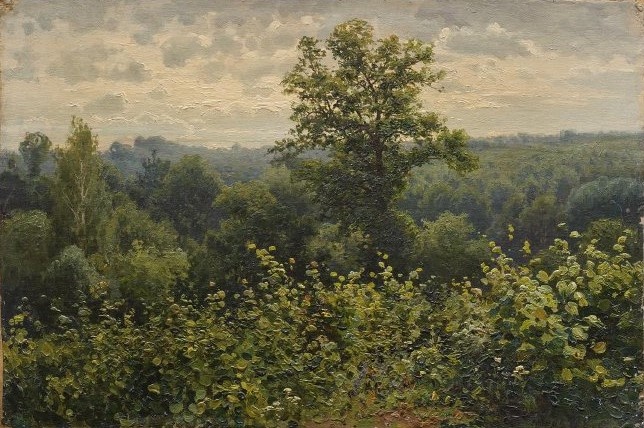 scale_1200 (7)
