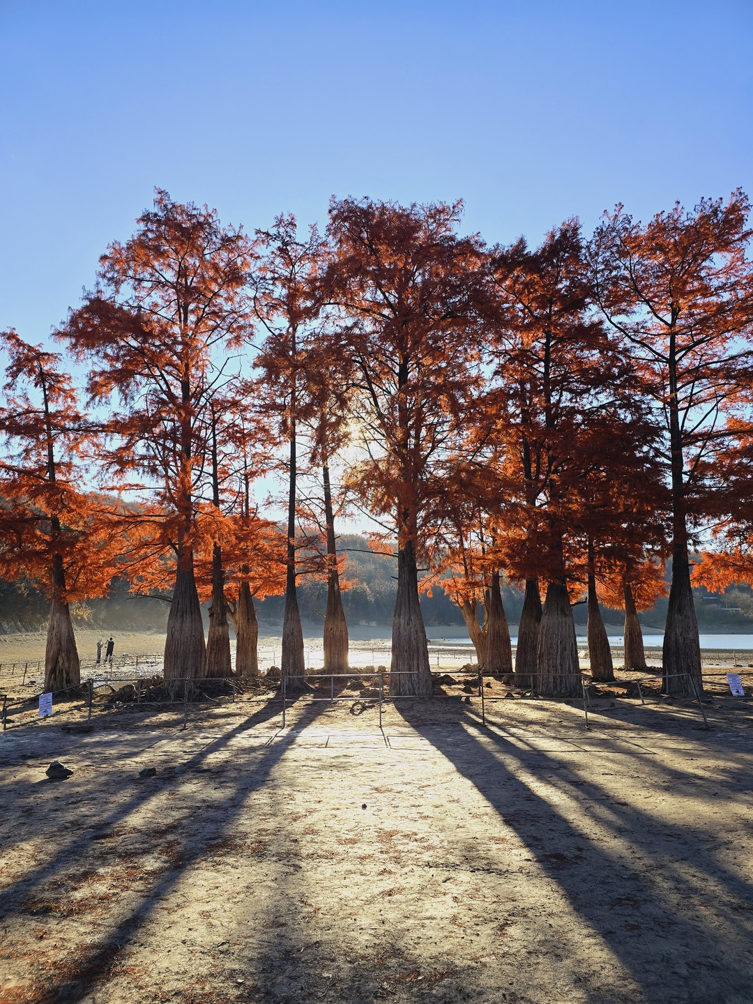 d7cfeef4-a9cf-11ef-84ab-c6d3809a3057.1080x1440