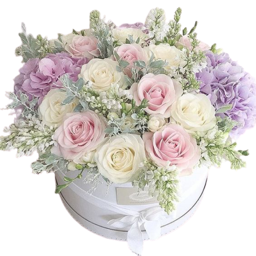 b21a3e49f2a1053c62147c3fb873e91a-removebg-preview