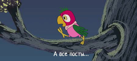 гифки-попугай-кеша-личное-59718