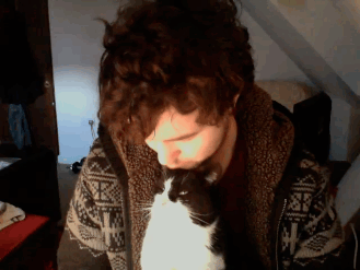 kiss_cat