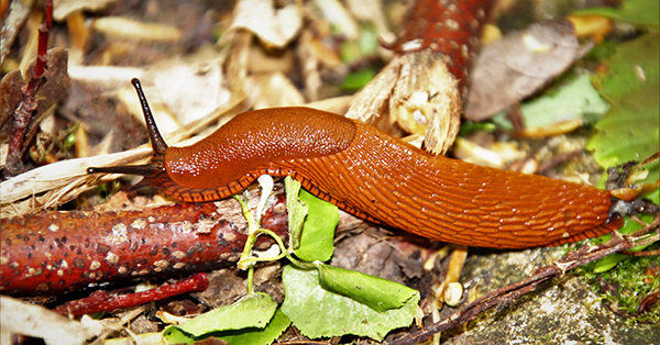 bbcce37e6bc32685c40a333b9ad2869a_ce_1250x694x0x69_cropped_1200x628