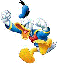 duck
