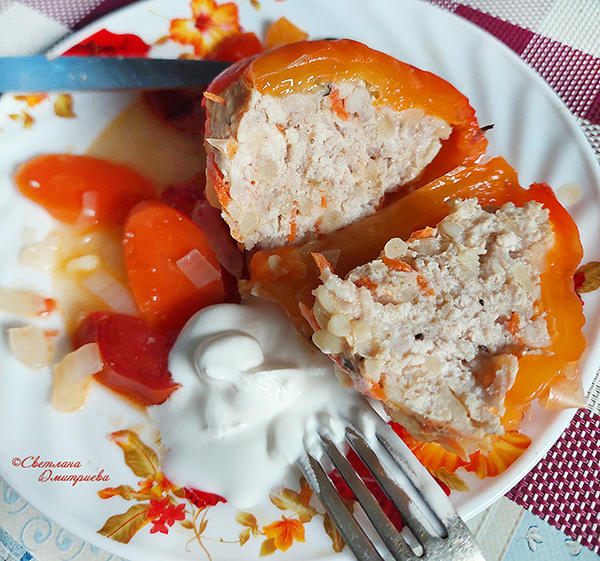 20250830_172329 копия