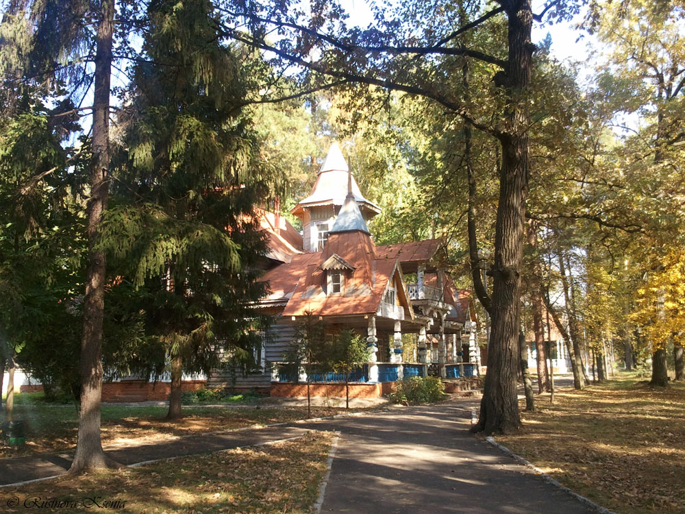 2014-09-25 11.38.29