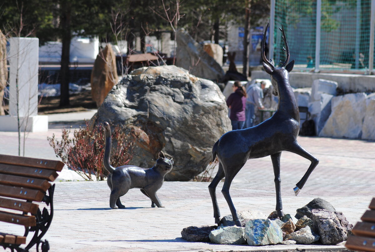 scale_1200 (2)